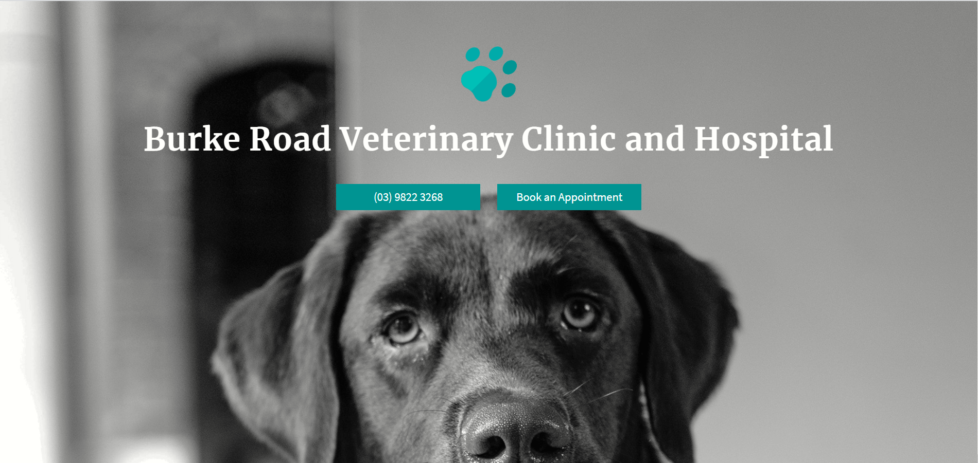 Burke Road Veterinary Clinic And Hospital