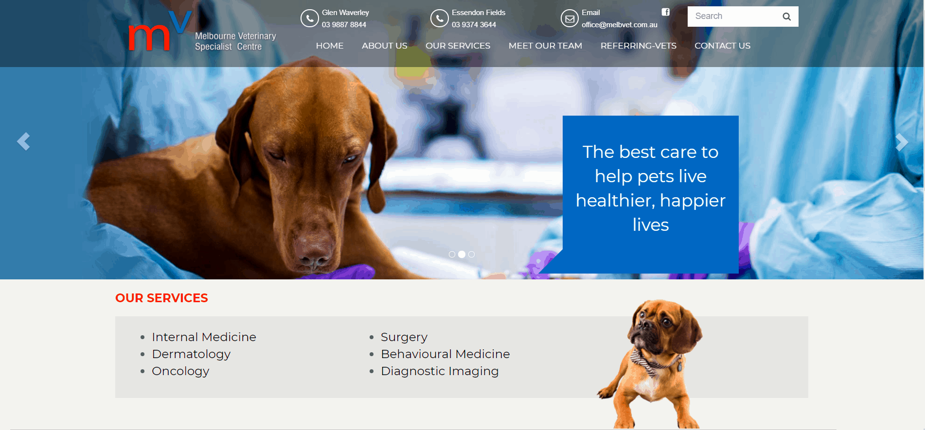 Mvsc Melbourne Veterinary Specialist Centre