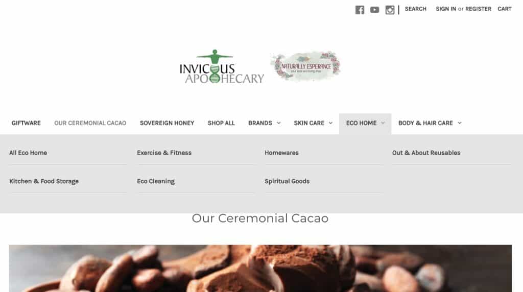invictus clinics ceremonial cacao austalia