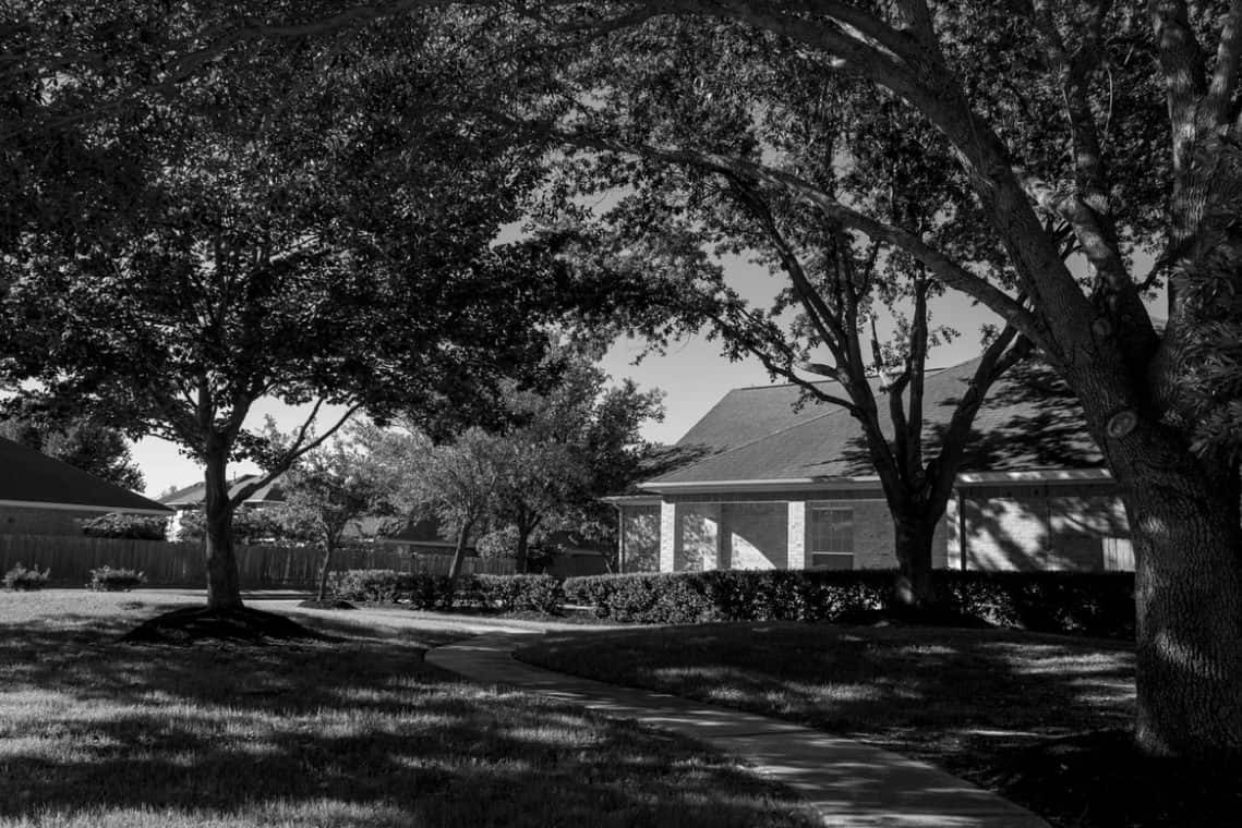 grayscale photo of trees and house photo – free gr