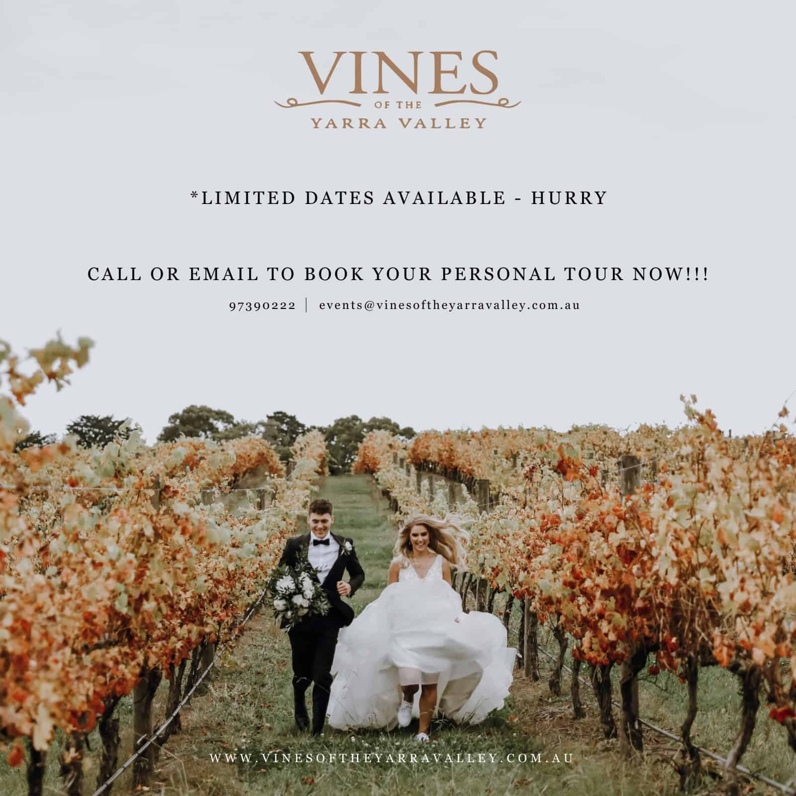 vines of the yarra valley 2023 promo 03