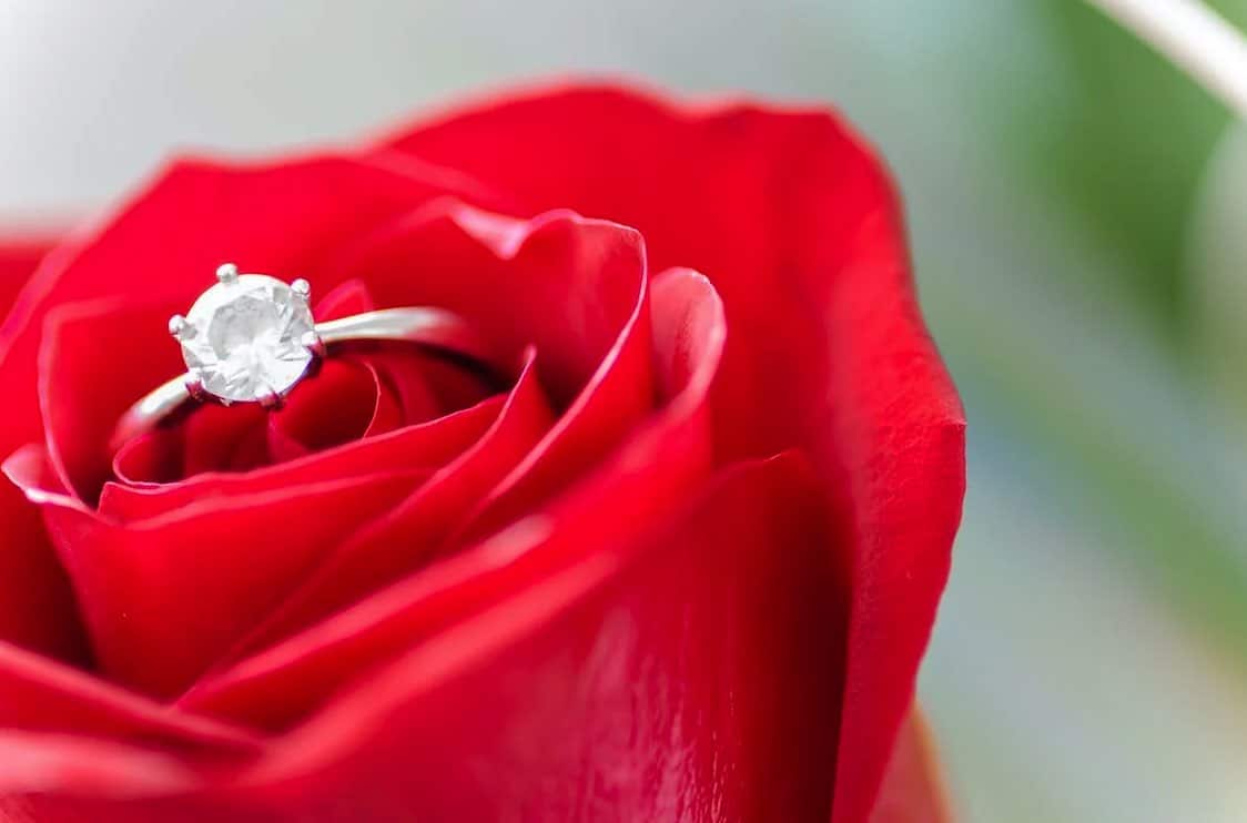 diamond engagement ring in a rose