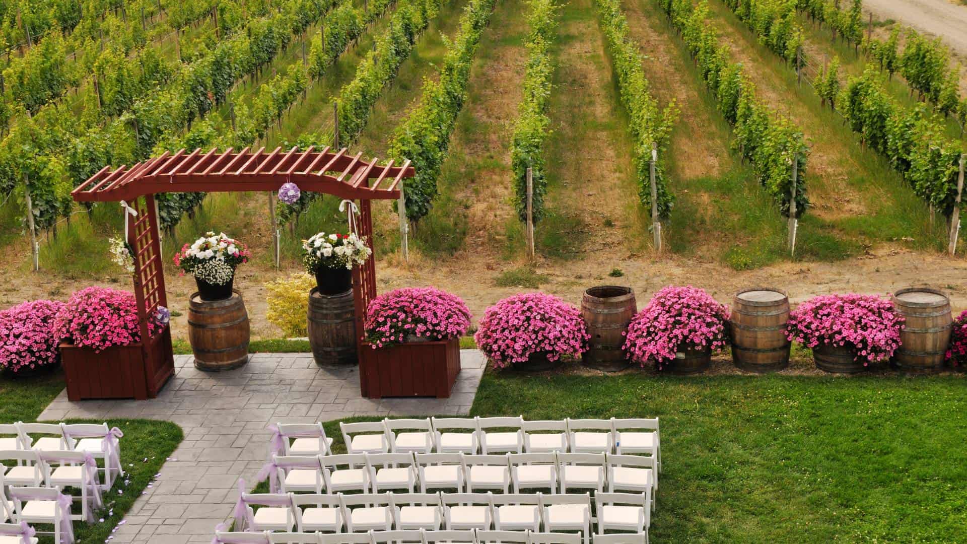 planning your vineyard wedding