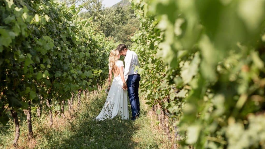 why a vineyard would make a great location for your wedding